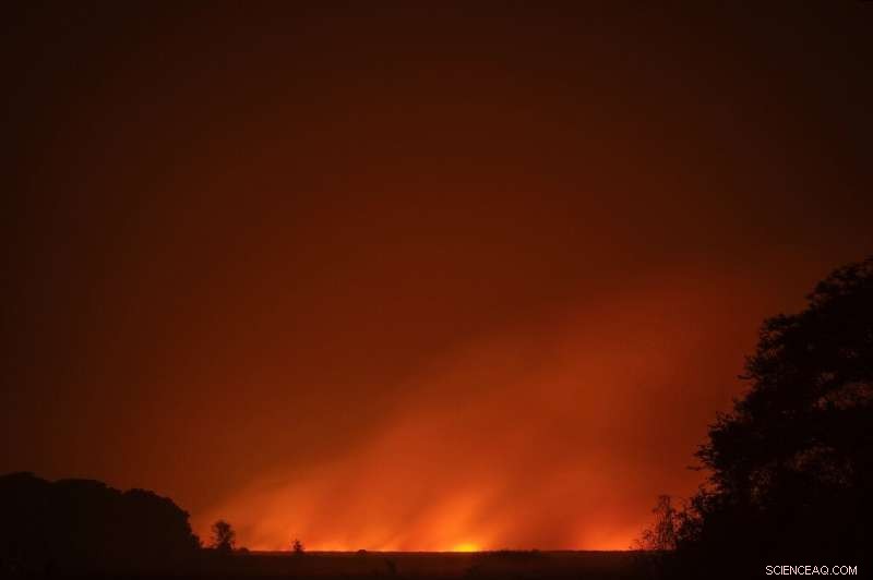 Record Fire Incidents Devastate Brazil s Amazon and Pantanal Regions