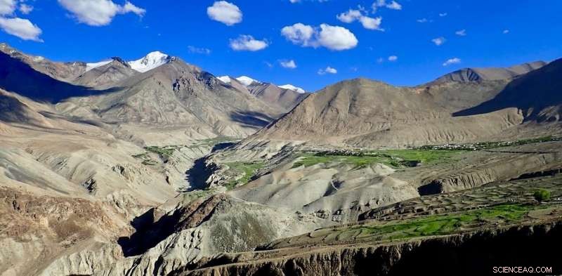 Himalayan Rock Magnetism Unveils Mountains  Complex Tectonic History