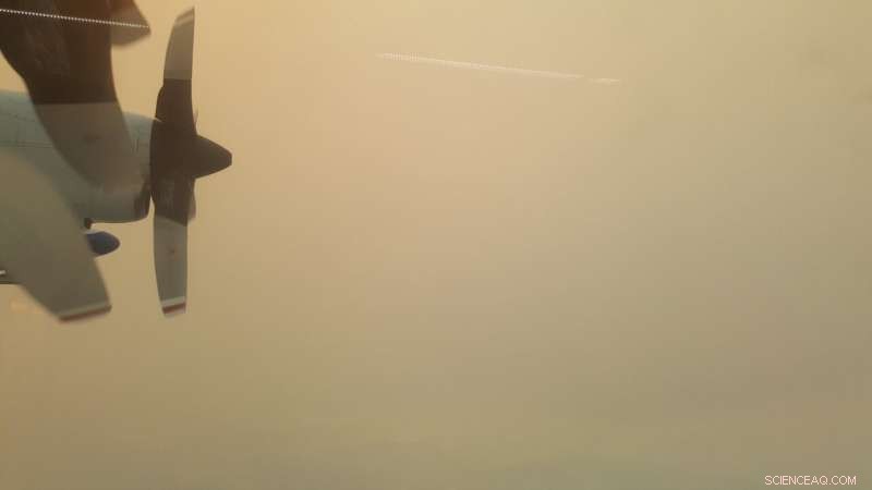 Using Aircraft to Fly Through Wildfire Smoke Plumes Enhances Forecast Accuracy