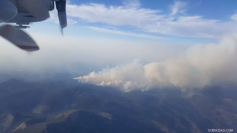 Using Aircraft to Fly Through Wildfire Smoke Plumes Enhances Forecast Accuracy