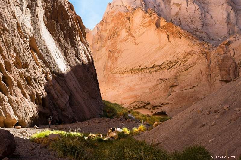 New U of T Study Reveals How Powerful Winds Shape Argentina s Landscape