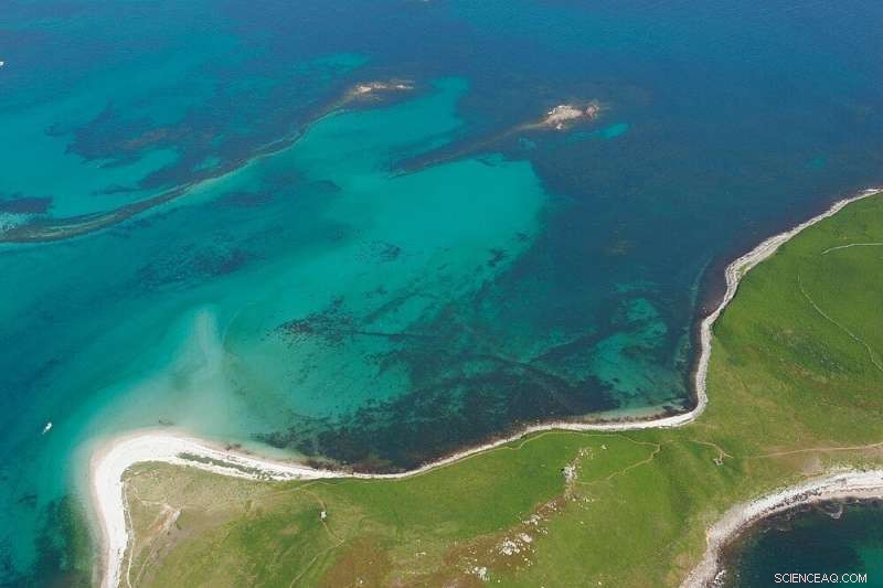 New Study Reveals Complex Consequences of Rising Sea Levels