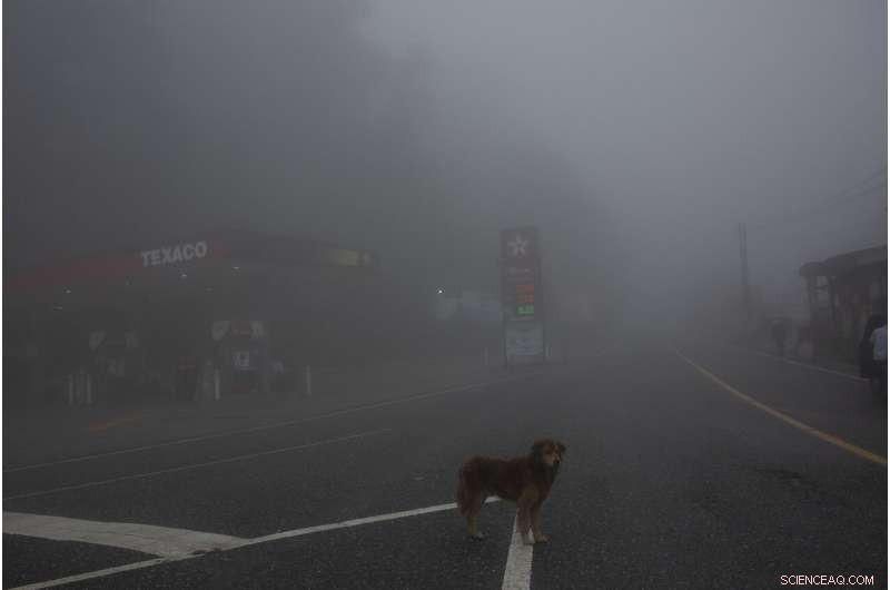 Hurricane Eta Returns to Sea: Central American Nations Tally Losses and Victims