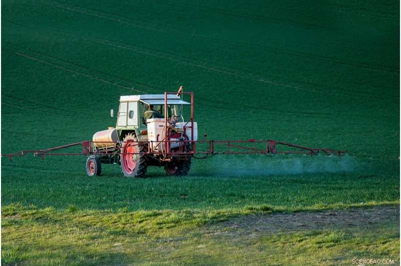 Hydrogen Bonds May Explain Dicamba Drift and Crop Damage