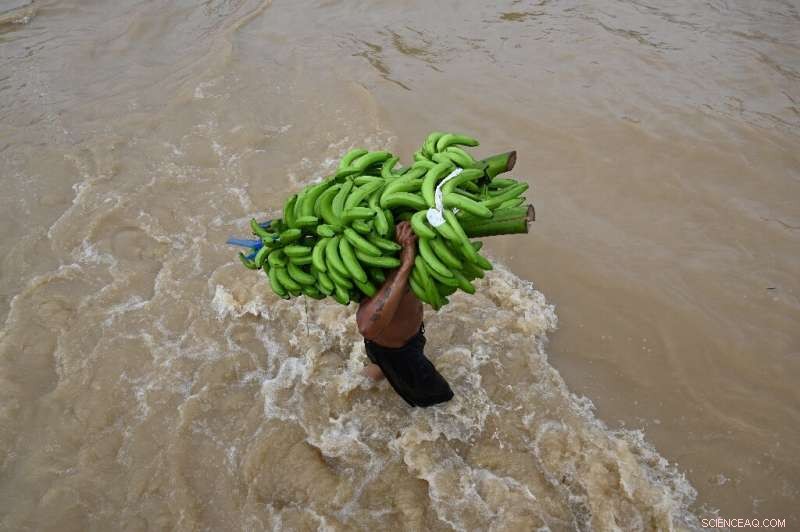 Storm Eta Claims 150 Lives in Guatemala, Leaving Many Missing