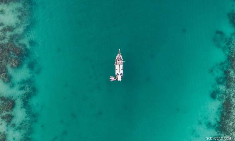 Plastic Pollution and Rising CO₂ Threaten Marine Life: New Research Highlights Combined Danger