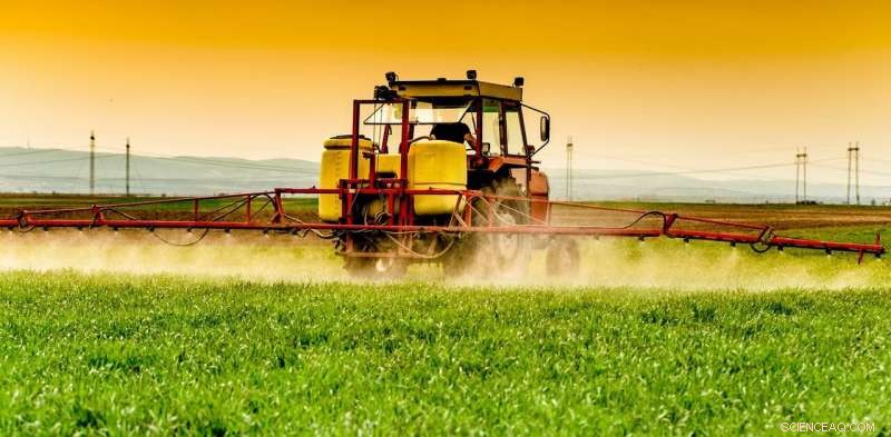 Global Food Emissions Threaten 1.5°C Goal—Immediate Action Can Stop Climate Warming