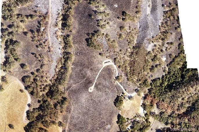 Drone Surveys Uncover Wildfire Damage and Restoration Progress in Natural Reserves