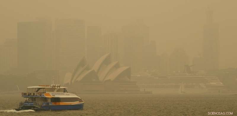 Adapting to the New Reality of Frequent Extreme Bushfires: Strategies for Living with Smoke‑Filled Air