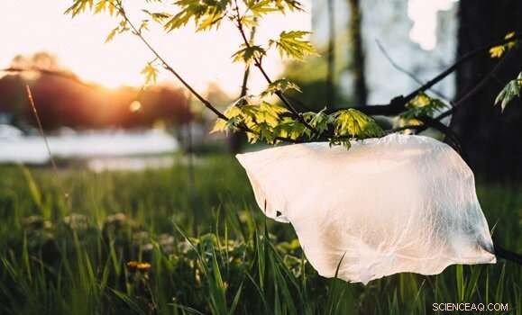 Sustainability Manager Details How a Plastic Bag Ban Drives Environmental and Economic Benefits