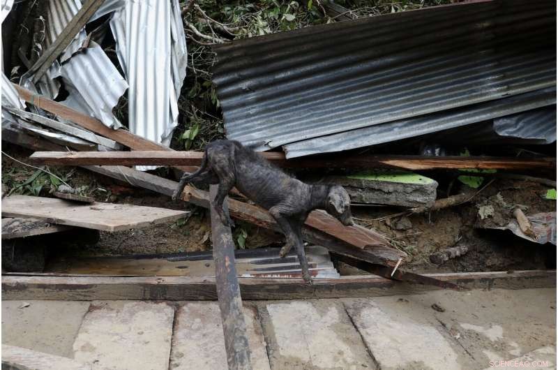 South Florida Endures Heavy Flooding as Eta Brings Destructive Storm