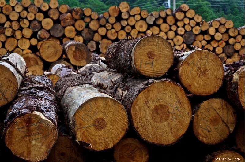 How Formal Community Forest Policies Can Undermine Local Access and Rights