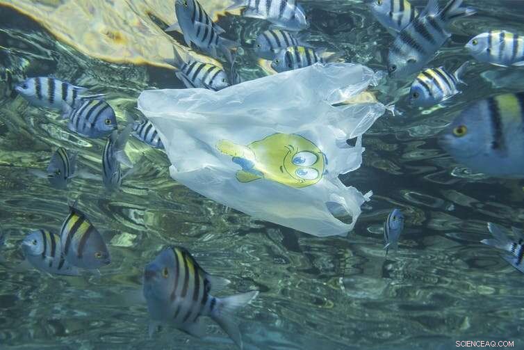 Reevaluating Life‑Cycle Assessments: Avoiding Misuse in Justifying Single‑Use Plastic Packaging