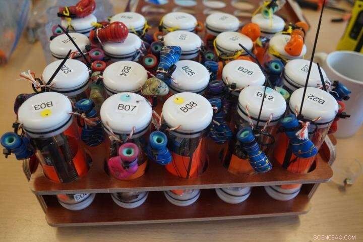 Innovative Biorobotics Techniques Make Hydropower Plants More Fish-Friendly