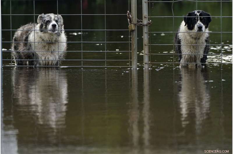Tropical Storm Eta Causes Flooding in Already Saturated Florida Cities