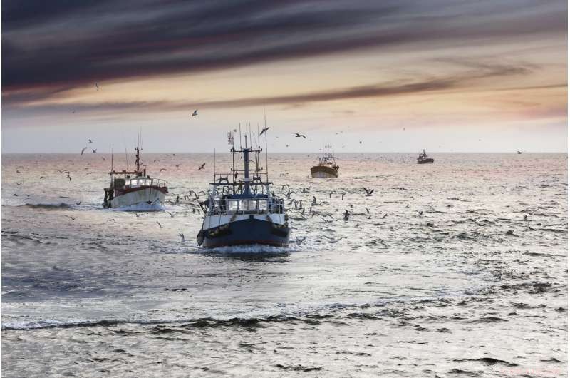 The Impact of Nuclear War on Global Seafood Supplies