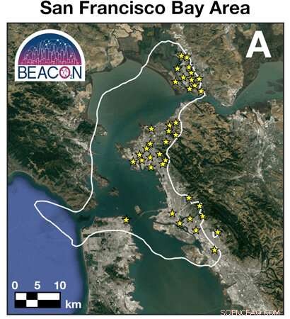 Pandemic CO₂ Drop Signals Rise of Electric Vehicles