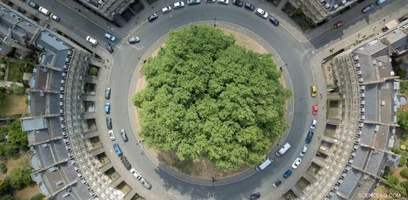 Circular Economy: Eliminating Waste Without Compromising Privacy