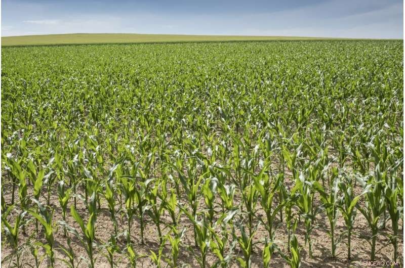 Green Deal: A Climate‑Neutral Europe—Pros for Europe, Cons for the Planet