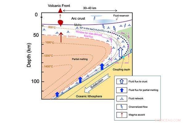 New Insights into Multicomponent Fluid Connectivity Beneath Subduction Zones