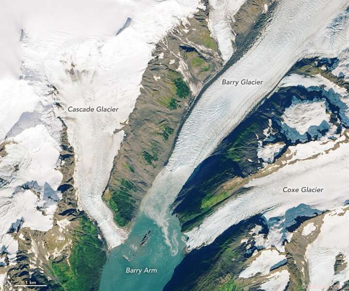 Alaska Fjord Landslide Could Trigger Tsunami, Endangering Coastal Communities