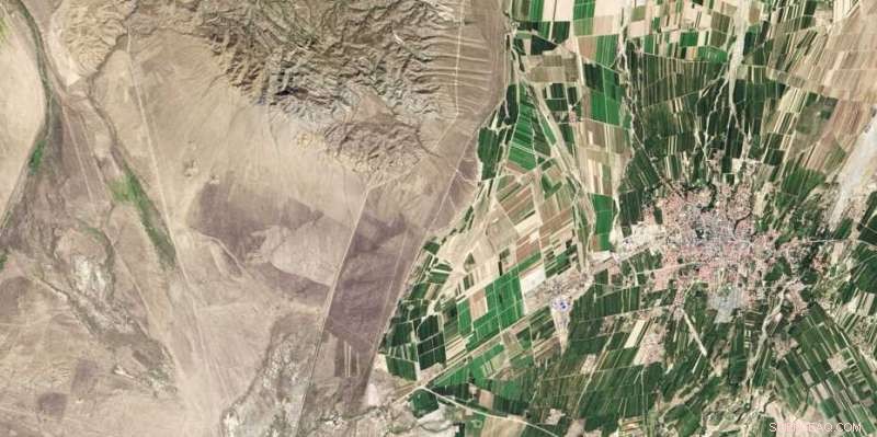 Governments Can Effectively Reduce Excessive Fertilizer Use