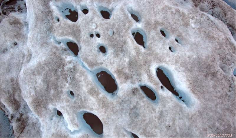 Glaciers: Majestic Ice Dragons—Understanding Their Beauty, Threats, and Our Role