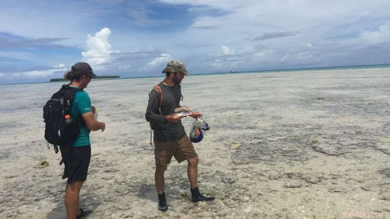 New Research Reconstructs 3,000 Years of Storms to Predict Shifts in Pacific Cyclone Hotspot