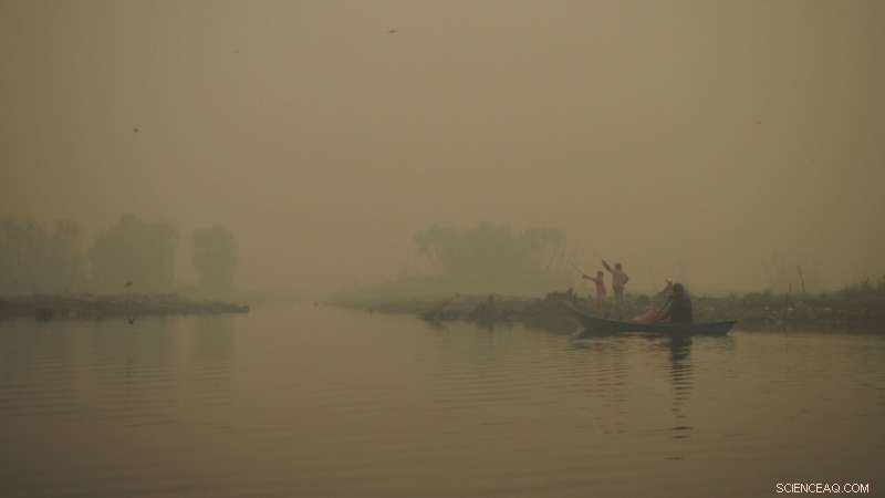 How Tropical Peatland Conservation Could Shield Humanity from Emerging Diseases