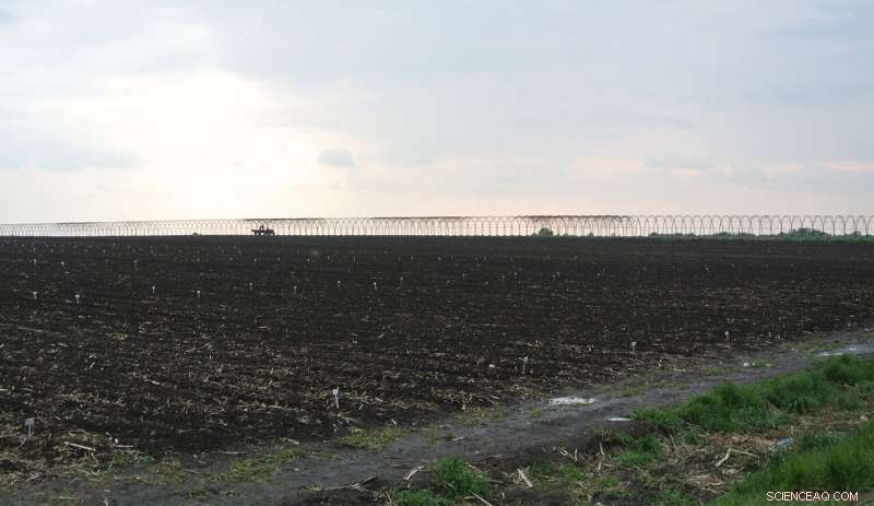 From Farm to Table: Understanding the Global Impact of Agriculture