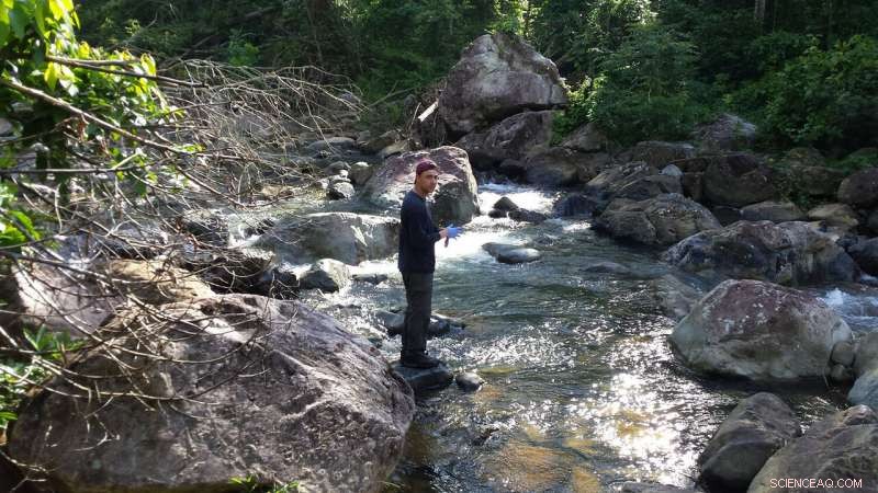 Post‑Hurricane Maria: Monitoring Antibiotic Resistance in Puerto Rican Watersheds