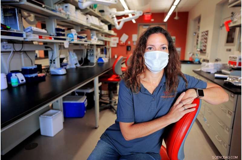 Post‑Hurricane Maria: Monitoring Antibiotic Resistance in Puerto Rican Watersheds