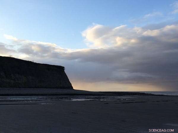 Prehistoric Microbes Reveal New Insights into Earth s Largest Mass Extinction