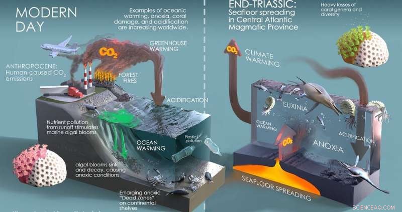 Prehistoric Microbes Reveal New Insights into Earth s Largest Mass Extinction