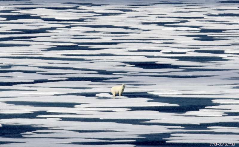 UN Climate Chief Says Big Polluters’ Pledges Boost Paris Agreement Prospects