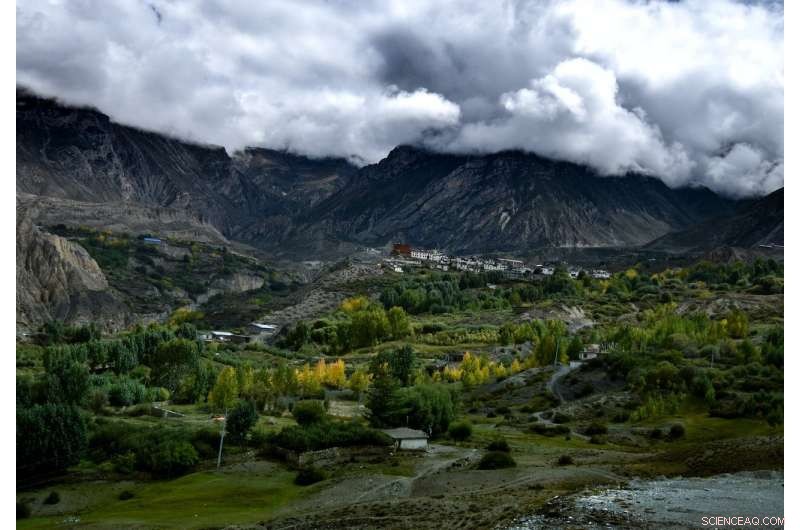 Unveiling the Composition of the Mysterious Aerosol Layer Over Himalayan Monsoon Clouds