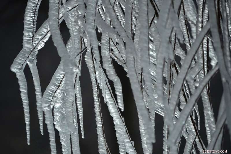 Russia s Far East Declares Emergency After Devastating Ice Storms