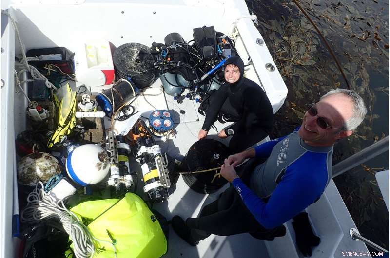 Exploring Kelp s Role in Mitigating Ocean Acidification