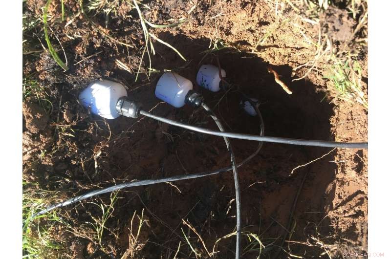 Urban Parks’ Oasis Effect May Boost Greenhouse Gas Emissions – Study Reveals Surprising Impact