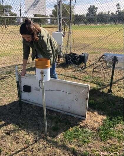 Urban Parks’ Oasis Effect May Boost Greenhouse Gas Emissions – Study Reveals Surprising Impact