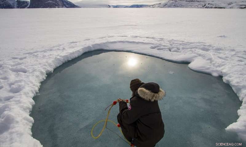 Groundbreaking Synthesis Study Shows Phytoplankton Blooms Beneath Arctic Sea Ice
