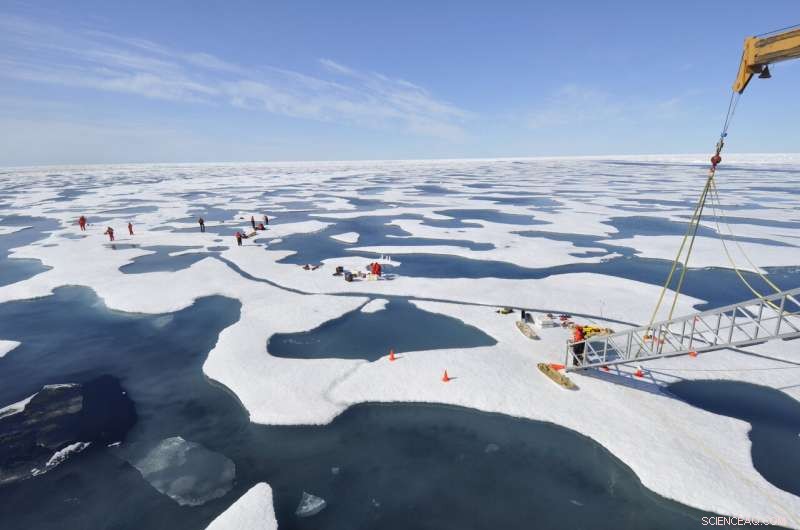 Groundbreaking Synthesis Study Shows Phytoplankton Blooms Beneath Arctic Sea Ice