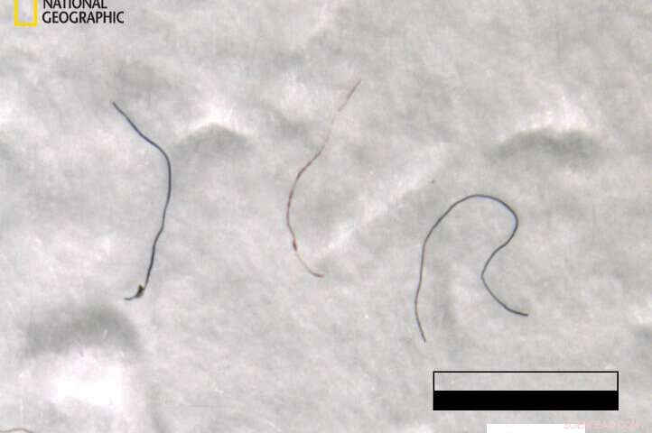 Microplastics Detected at Mount Everest s Summit – A Surprising Environmental Threat