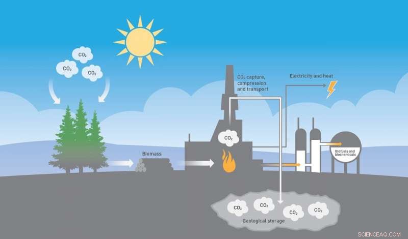 Carbon Capture & Storage in Waste Incineration: Reducing Atmospheric CO₂