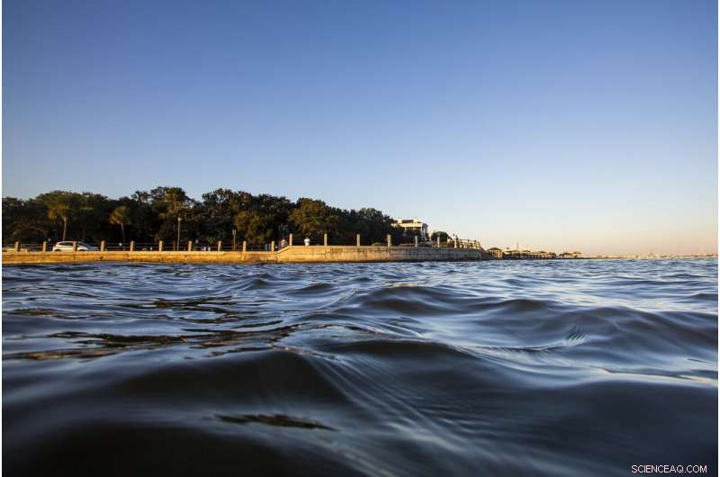Charleston Considers $1.75B Sea Wall to Combat Rising Seas and Intensifying Storms