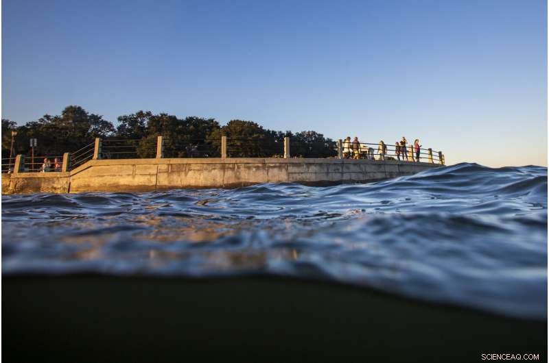 Charleston Considers $1.75B Sea Wall to Combat Rising Seas and Intensifying Storms