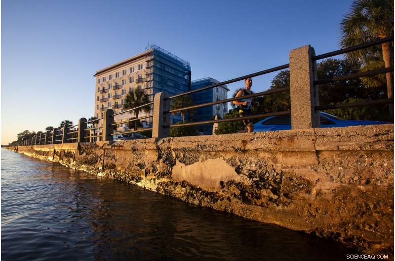 Charleston Considers $1.75B Sea Wall to Combat Rising Seas and Intensifying Storms