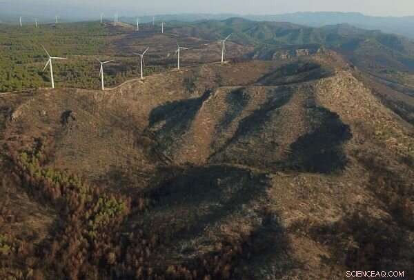 Rising Fire Activity Endangers Over 4,400 Species Worldwide