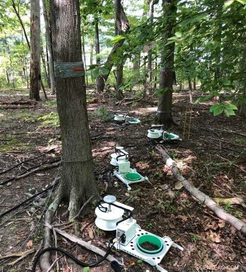 Opening Access to Soil Respiration Data: A Comprehensive Initiative