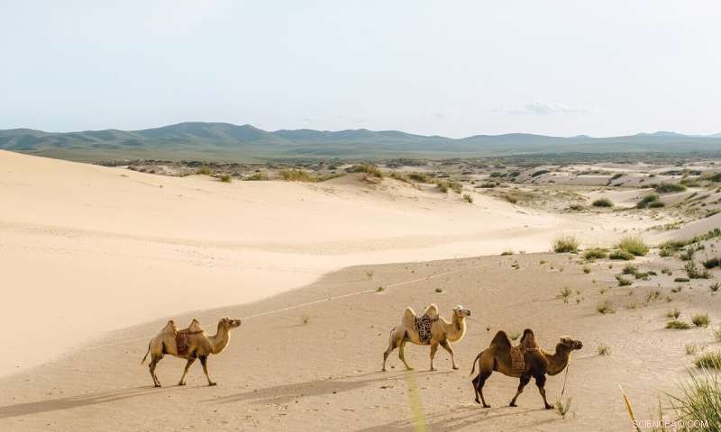 Inner East Asia s Climate Shift: Irreversible Heatwaves and Drought Trends